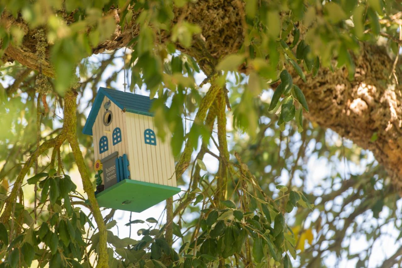 Mystay - Herdade Do Vale Da Abelheira Grândola Buitenkant foto